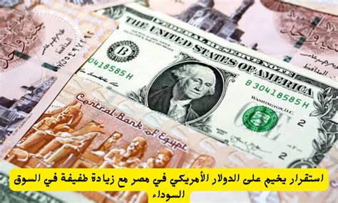 أدى الدولار الأمريكي مقابل الجنيه المصري إلى ارتفاع سعر الصرف في السوق السوداء