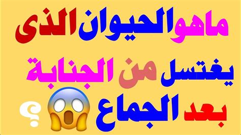 أسئلة مسابقة الثقافة وإجاباتها ممتعة وشيقة للغاية - موقع الأحلام