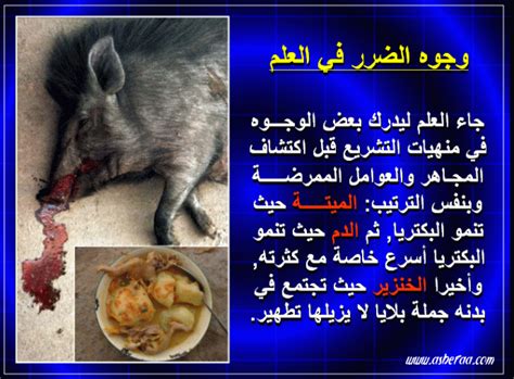 أسباب تحريم لحم الخنزير على المسلمين .. من الناحية الشرعية والطبية أسباب تحريم لحم الخنزير على المسلمين .. من الناحية الشرعية والطبية