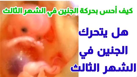 أشعر بشيء يتحرك في معدتي - العسل