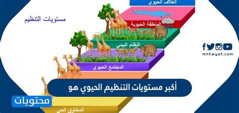 أصغر المستويات التنظيمية في الكائنات الحية