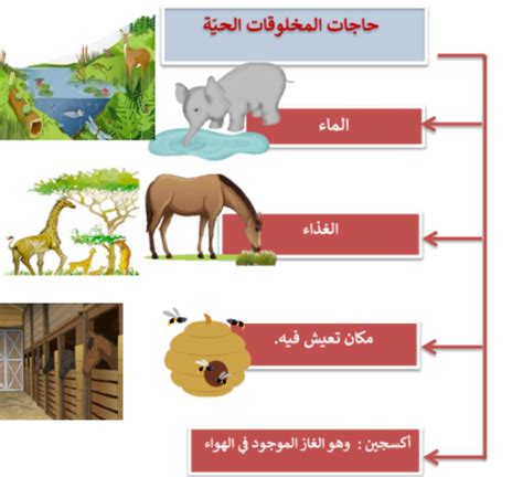 أصغر وحدة في الكائنات الحية