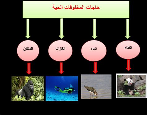 أصغر وحدة للكائنات الحية - أفضل إجابة