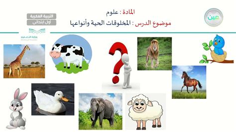 أصغر وحدة من الكائنات الحية - موقع القلعة