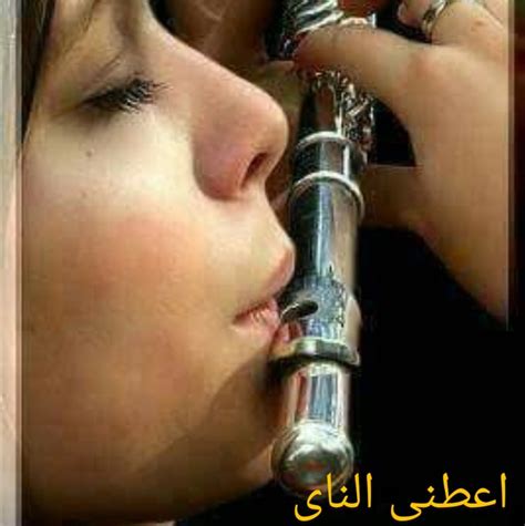 أعطني الفلوت - ويكيبيديا