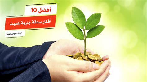 أعظم صدقة جارية للميت.. لا تخرج عن هاتين - صدى البلد