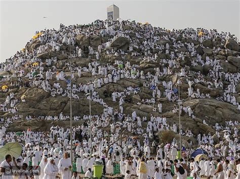 أفضل اعمال يوم عرفه عند الشيعة لغير الحاج - المحيط