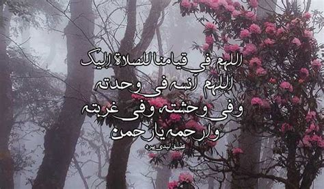 أفضل صلاة للميت - ليدي بيرد أفضل صلاة للميت - ليدي بيرد