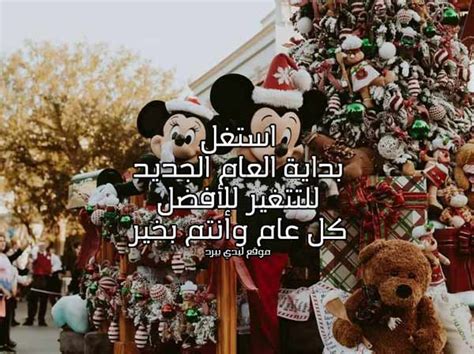أفضل كلمات السنة الجديدة - ليدي بيرد