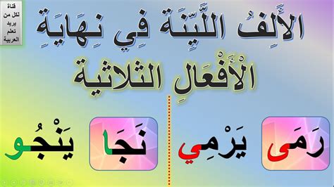 ألف لينا مرسومة بالفعل الثلاثي على شكل قائمة بالآلاف عندما يكون أصلها هو حمزة - الأخبار العاشرة