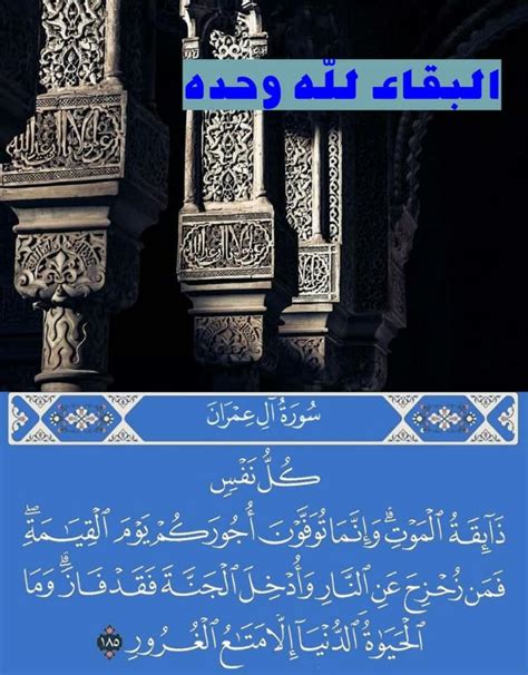 أنا لا أتحدث أثناء التغوط - موقع القلعة