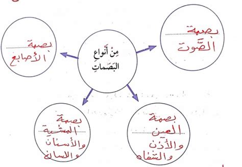 أنواع الحلول بيت العلوم - أفضل إجابة
