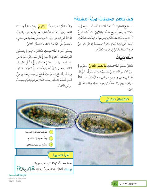 أنواع المفردات - الشريحة الدقيقة 1 - الإبتدائي الخامس - المنهج السعودي أنواع المفردات - الشريحة الدقيقة 1 - الإبتدائي الخامس - المنهج السعودي