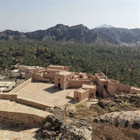 أول من أسلم في عمان - العرب