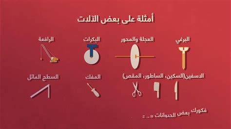 أي مما يلي مثال على آلة بسيطة؟ أي مما يلي مثال على آلة بسيطة؟