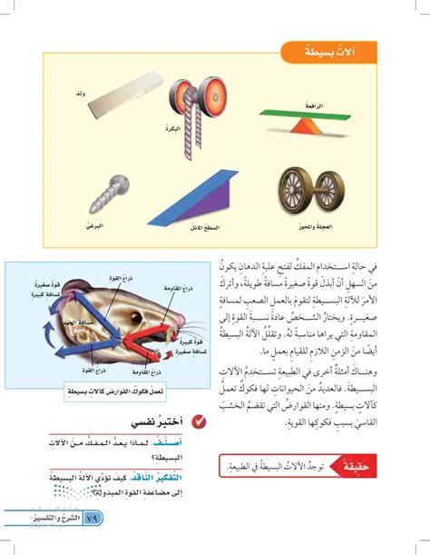 أي مما يلي هو مثال على آلة بسيطة - النظام الأساسي أي مما يلي هو مثال على آلة بسيطة - النظام الأساسي