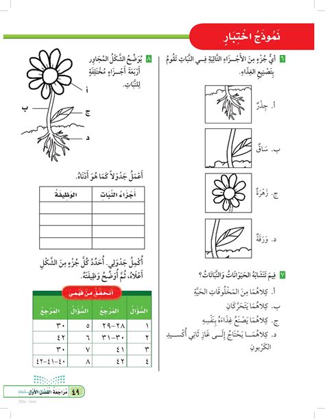 أي من الأجزاء التالية يقع في جذع النبات - سؤال وجواب تافه