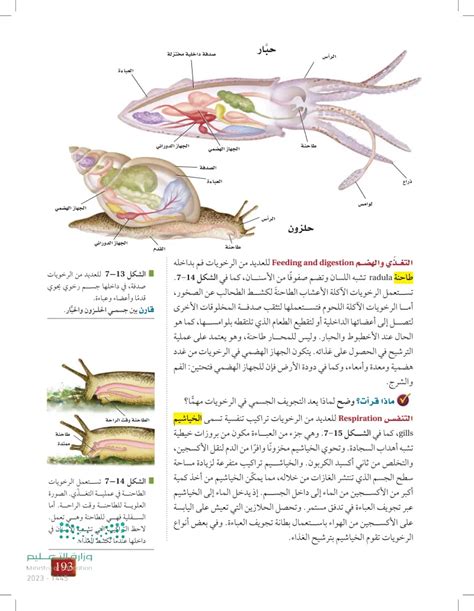 أي من العبارات التالية يعتبر أحد مساهمات علم الأحياء - الهروب في الحلم؟