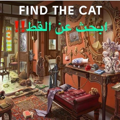 أين القطة في الصورة - كلمات