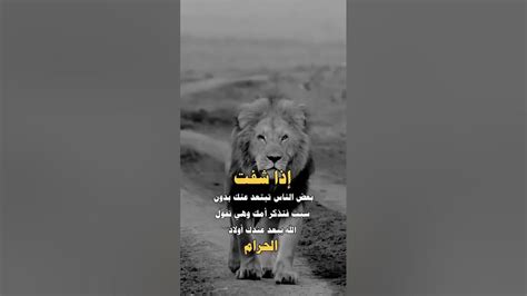 إذا بقي الناس بدون Ladon - Screen