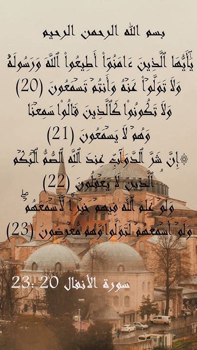 إرسالية الله للمؤمنين ثمرة _حل _ اتجاهات 2024