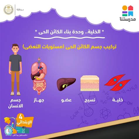 إنها صفات موروثة ناتجة عن تغيير في تكوين جسم الكائن الحي ... - ذاكرتي