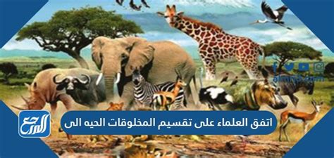 اتفق العلماء على تقسيم الكائنات الحية إلى ممالك وعددها - بيت العلم اتفق العلماء على تقسيم الكائنات الحية إلى ممالك وعددها - بيت العلم