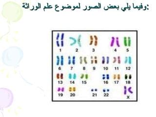 اختر الإجابة الصحيحة أيًا مما يلي لا يشمله علم الوراثة