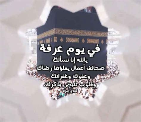 ادعية يوم عرفة مكتوبة - ليدي بيرد