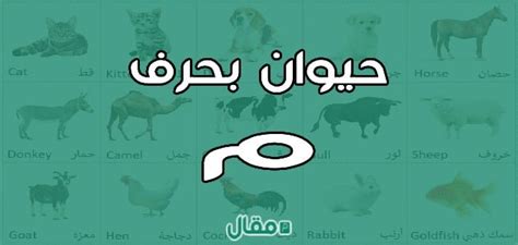 اسم حيوان بحرف م - ملحم