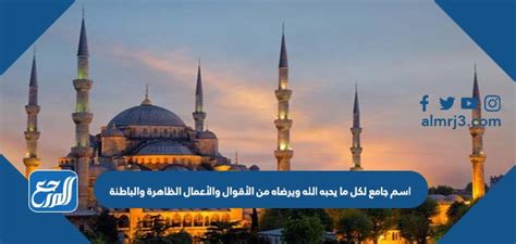 اسم شامل لكل ما يحبه الله ويسره قولا وفعلا، ظاهرا وباطنا - وحشي اسم شامل لكل ما يحبه الله ويسره قولا وفعلا، ظاهرا وباطنا - وحشي