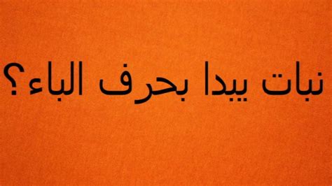 اسم نبات بحرف الياء ي واهم المعلومات عنه - مصري نت اسم نبات بحرف الياء ي واهم المعلومات عنه - مصري نت