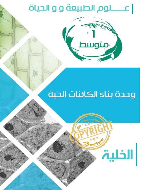 اصغر وحدة في بناء الكائنات الحية - عرب ارجي