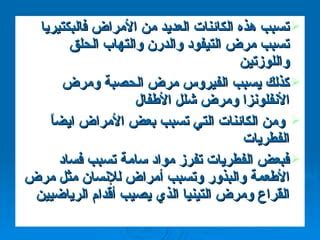 اعتادت الكائنات على صنع بعض الأطعمة مثل الخبز والجبن - أنت تعرفهم بشكل صحيح