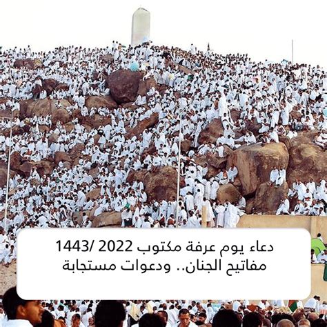 الآن دعاء يوم عرفة مكتوب 2024 /1444 مفاتيح الجنان.. ودعوات مستجابة ليوم العتق من النيران - ثقفني