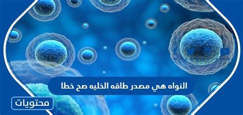 الأجسام على شكل قضيب هي مصدر طاقة الخلية