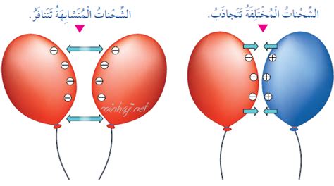 الأجسام على شكل قضيب هي مصدر للطاقة الخلوية - Science House