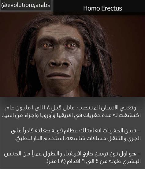 الأجناس البشرية: هل نحن حقًا مختلفون جدًا؟