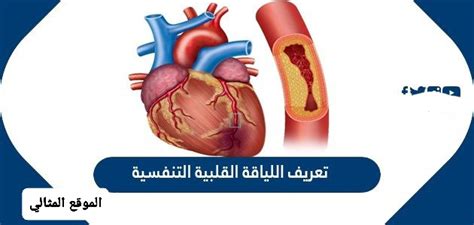 الأسس التي تقوم عليها اللياقة القلبية التنفسية للممتحن تشمل عمره وحالته الصحية والأمراض التي يعاني منها - النشر