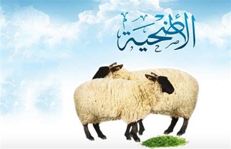 الأضحية هي ما يذبح من بهيمة الأنعام في أيام عيد الأضحى تقرباً إلى الله تعالى - موقع معلمي