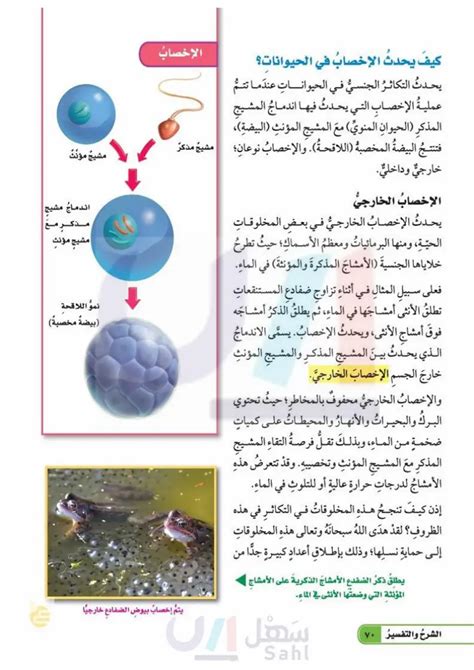 الإجابة الصحيحة: تتم عملية التحول خلال دورة الحياة في