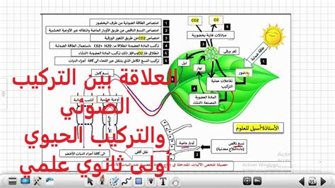 الإجابة الصحيحة تعريف التدفق الضوئي - solubilizer