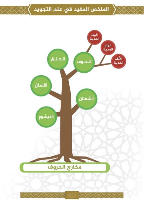 الإجابة الصحيحة مقتطف من ثلاث فوائد للحديث - الملخص المفيد