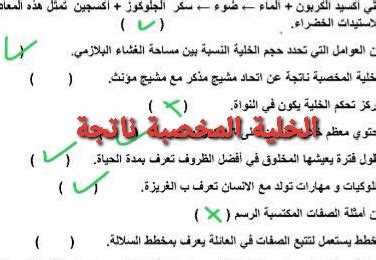 الإخصاب بالإجابة الصحيحة هو اتحاد مشيج ذكر مع أنثى مشيج - محفز