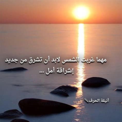 الإسلام هو الشمس التي تشرق في كل وقت