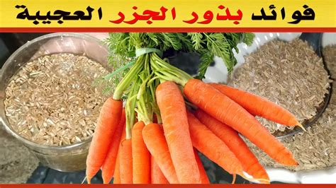 الإصدار التالي عدد غير منطقي الجزر 14 - الإصدار