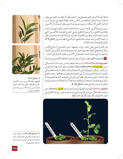 الإيثيلين هو الهرمون الغازي الوحيد في النباتات صحيح أم خطأ