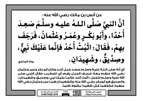 الادعاء بأن أبا بكر وعمر - رضي الله عنهما - اغتصبوا الخلافة - موسوعة بيان الإسلام