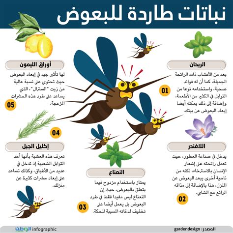 البحث عن تقنيات لغتي الوسيطة الثانية - نباتات طاردة للبعوض