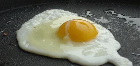 البيض المقلي في المنام - مفسر